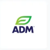 Fifth Logo